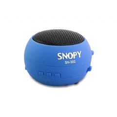 Karaağaç Mini Ses Bombası