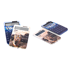 12 Haneli Hesap Makinesi