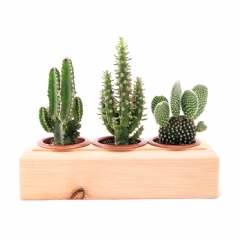 Serhat Akustik Telefon Standı