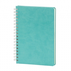 Elmadağ Spiralli Tarihli Ajanda (17X24 cm)