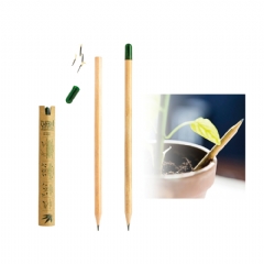 Fethiye Naturel Tohumlu Kurşun Kalem