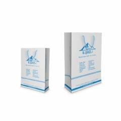 Küçük Boy Dikey Karton Çanta