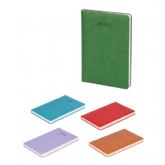 GIANT TORBALI'S TERMO DERİ AJANDA