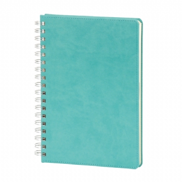 Elmadağ Spiralli Tarihli Ajanda (17X24 cm)