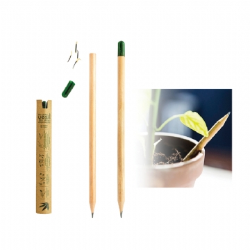 Fethiye Naturel Tohumlu Kurşun Kalem